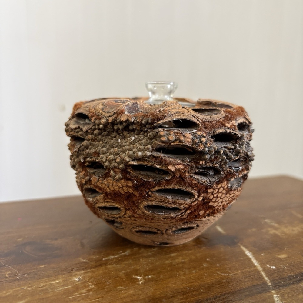 Vintage Banksia Nut Pod Hand Carved Vase Oil Lamp Aroma Diffuser Cottage Farm